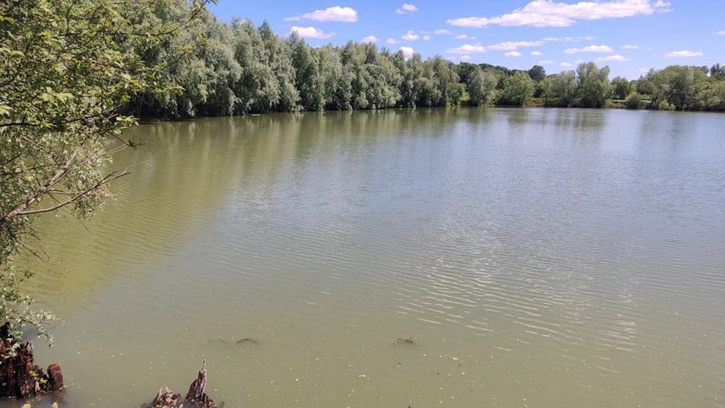 На Полтавщині у ставку втопився чоловік