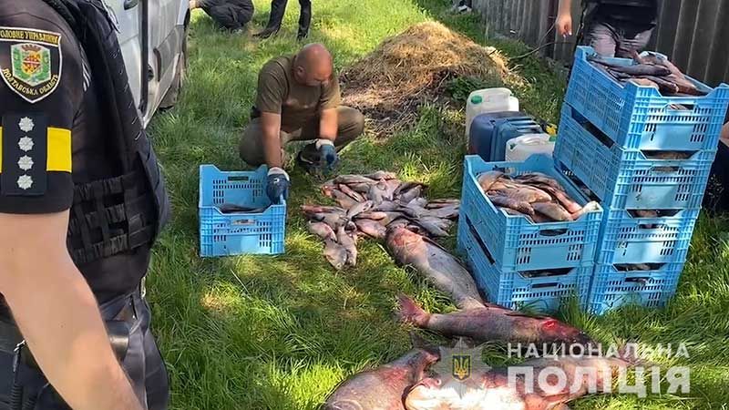 На Полтавщині зафіксовано більше сотні фактів незаконного видобутку риби під час нерестової заборони