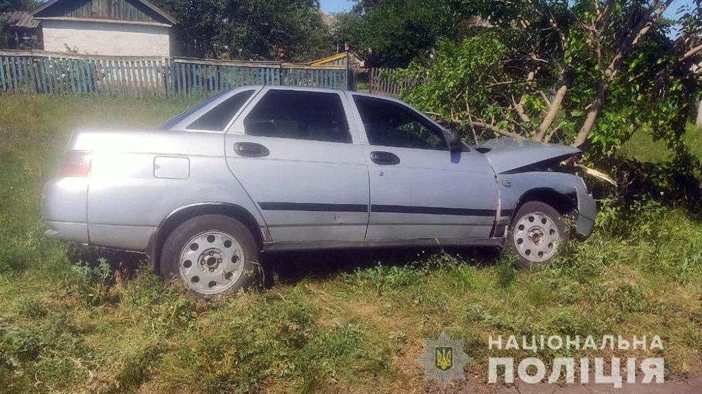 На Новосанжарщині автомобіль врізався у дерево: постраждало 3 людини