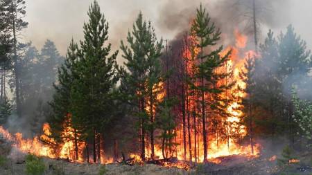 На Полтавщині встановили високий клас пожежної небезпеки