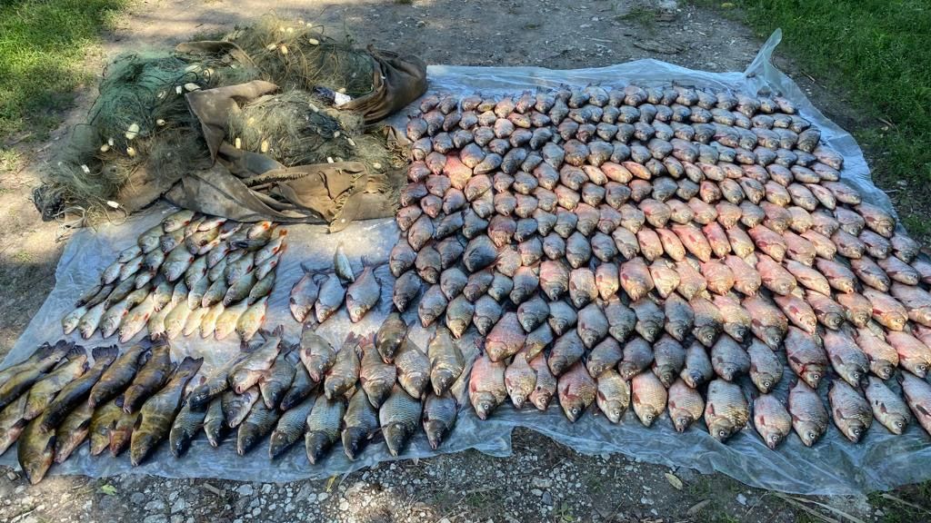 На Полтавщині поліція викрила браконьєра з уловом риби на суму понад 850 тисяч гривень