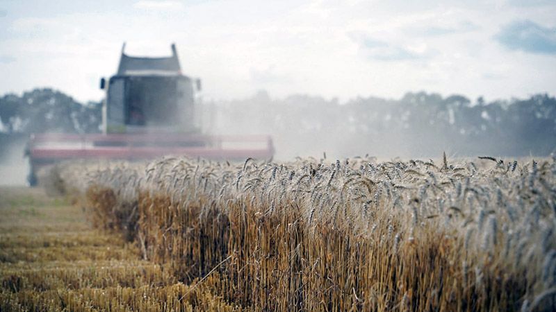 Аграрії Полтавщини намолотили 1,2 мільйона тонн зерна нового врожаю