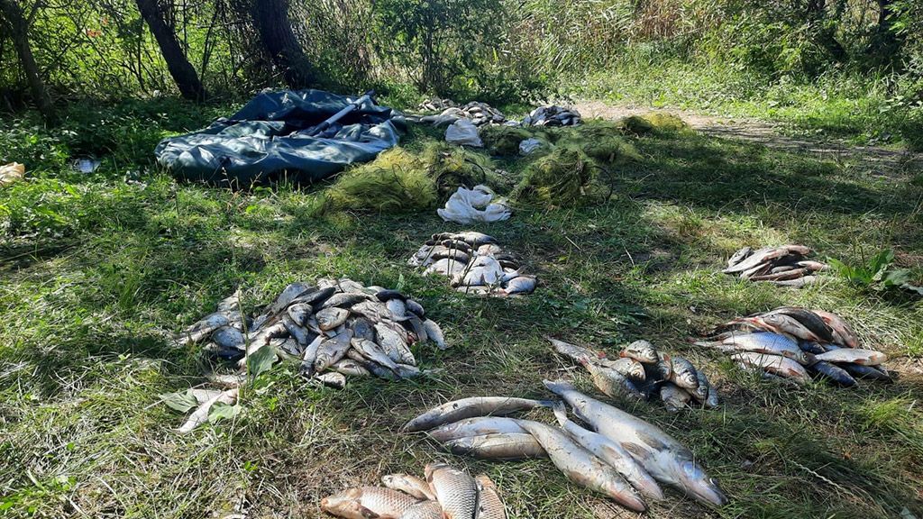 На Полтавщині затримали браконьєрів із уловом на 790 тисяч гривень