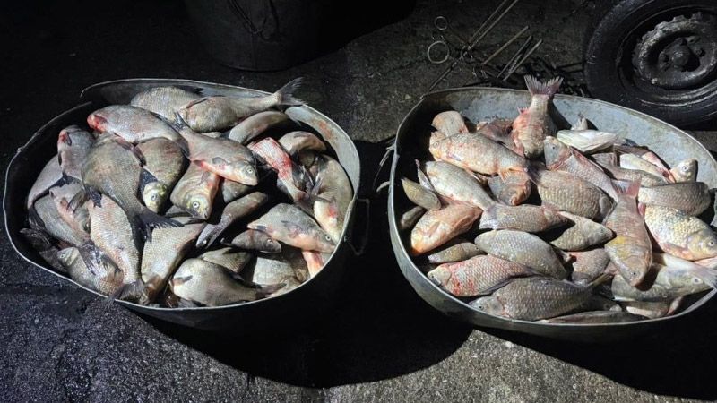 На Полтавщині упіймали браконьєрів які незаконно наловили риби більш ніж на 2 мільйони гривень