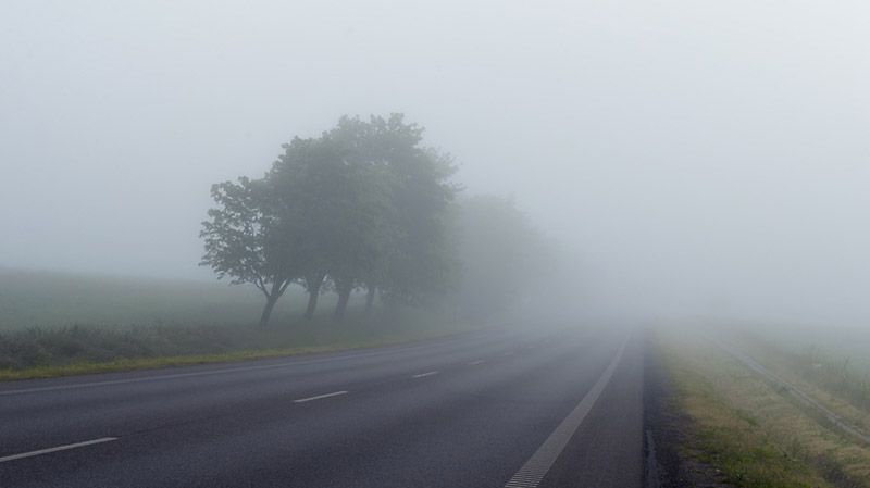 На вихідні на Полтавщині прогнозують тумани та нічні морози