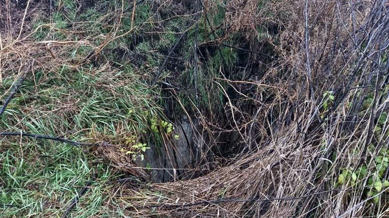 На Полтавщині у каналізаційному колекторі виявили тіло жінки