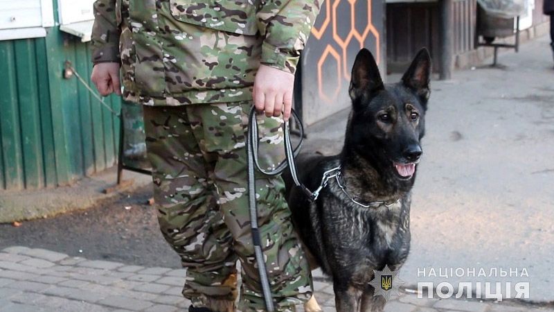 За допомогою службового собаки полтавські поліцейські швидко викрили нічного крадія