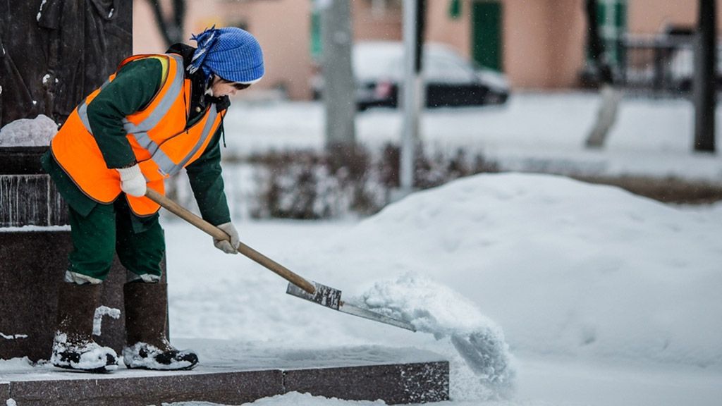 «Cash for work Ukraine»