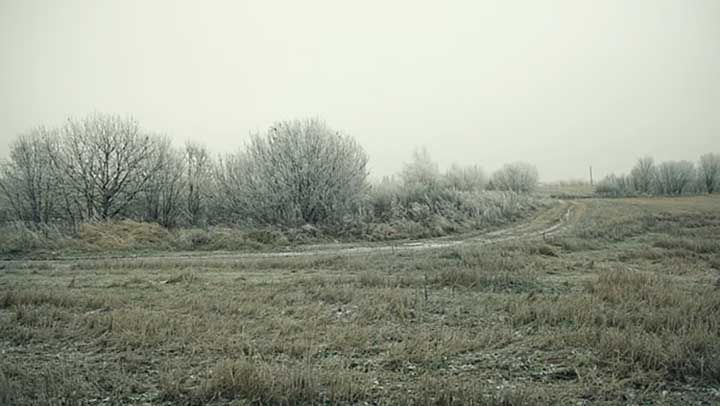 Погода на Полтавщині на 23-25 січня: хмарно, вітряно, морози вночі