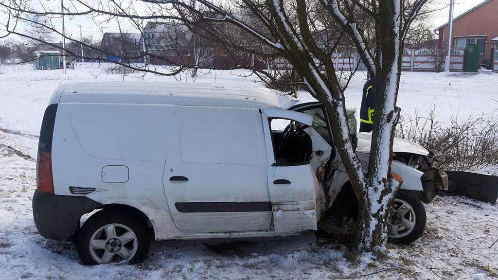 У Полтавському районі п’яний водій автомобіля врізався у дерево: посажирка важко травмована