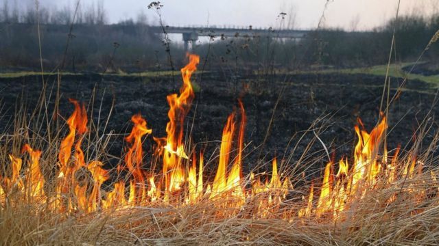 На Полтавщині загинула літня жінка під час спалювання листя