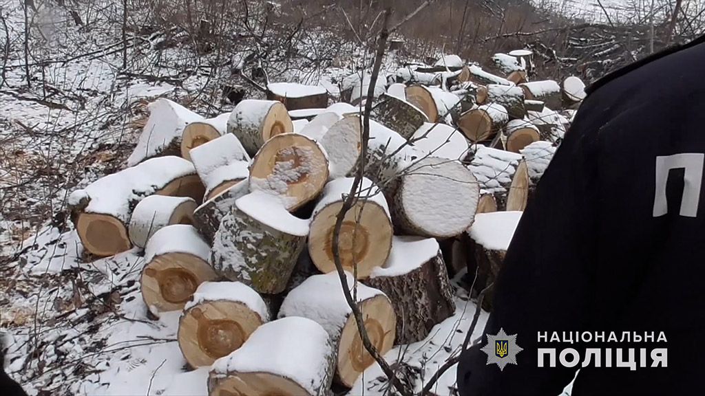 На Пирятинщині поліцейські упіймали незаконного лісоруба