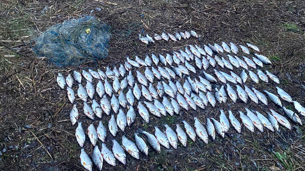 На Кам‘янському водосховищі упіймали чергового браконьєра