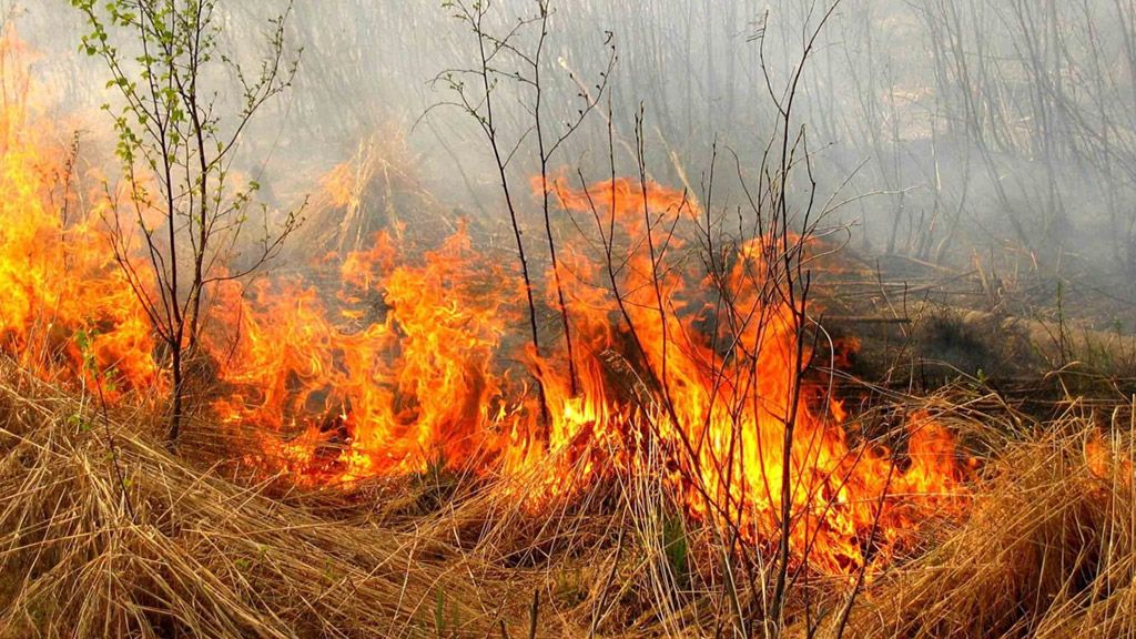 На Полтавщині очікуєтсья високий рівень пожежної небезпеки