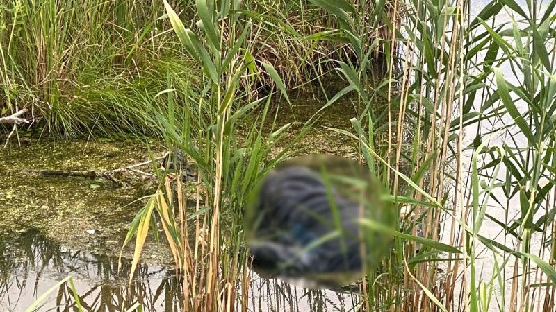 У Кременчуцькому районі у річці виявили тіло чоловіка