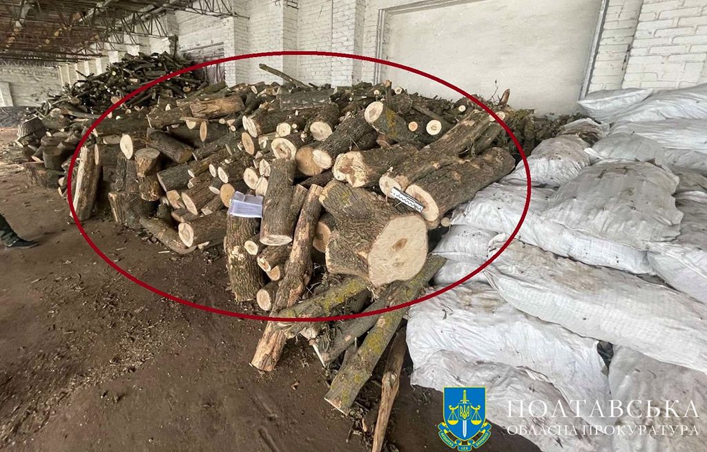 На Полтавщині інженер виправної колонії прийняв дров у 10 разів менше, ніж оплачено – його судитимуть за недбалість