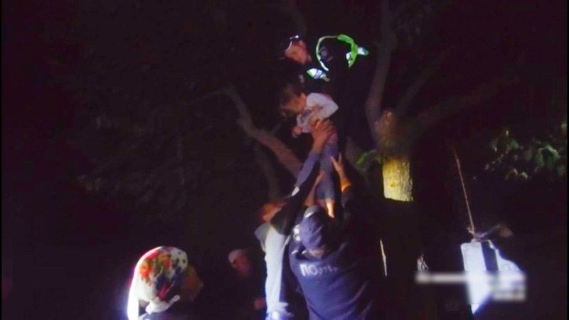На Полтавщині зниклу дитину знайшли... на дереві