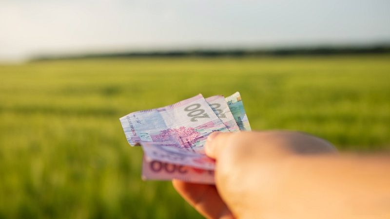 У 2023 році аграрії Полтавщини отримали більше 3 мільярдів гривень кредитів на розвиток