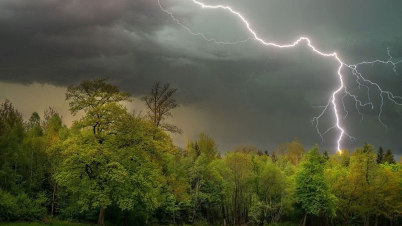 На Полтавщині очікуються дощі з грозами
