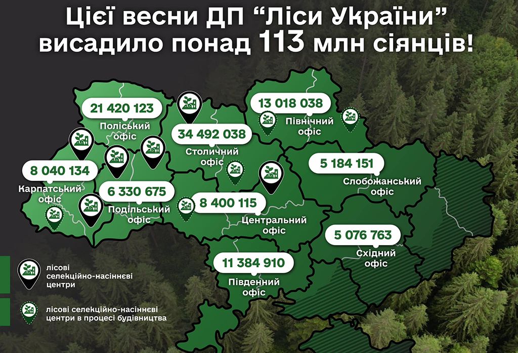 ДП «Ліси України» висадило понад 113 мільйонів дерев