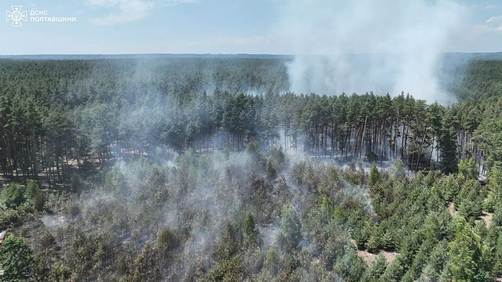 Поблизу Полтави горів ліс