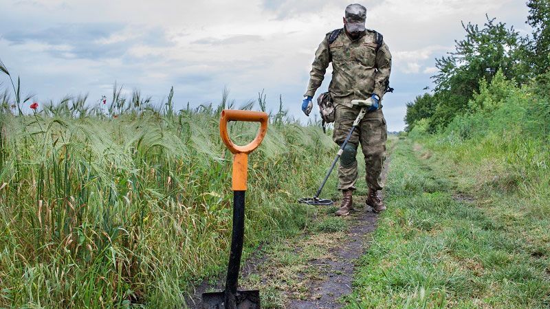 Фермери можуть отримати фінансову компенсацію за розмінування земель