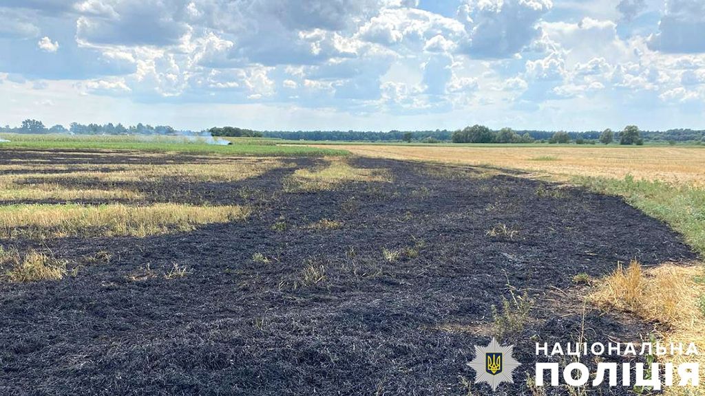 На Полтавщині жінка отримала численні опіки коли спалювала стерню