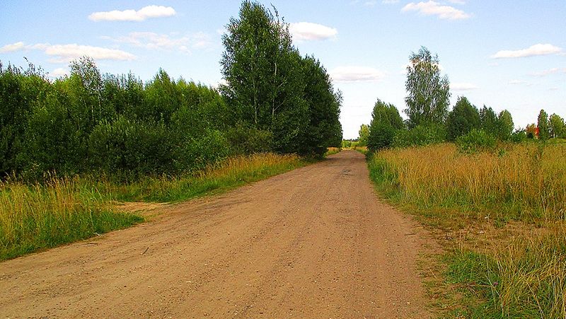 У Полтавській громаді виявили мертву жінку – поліція підозрює вбивство