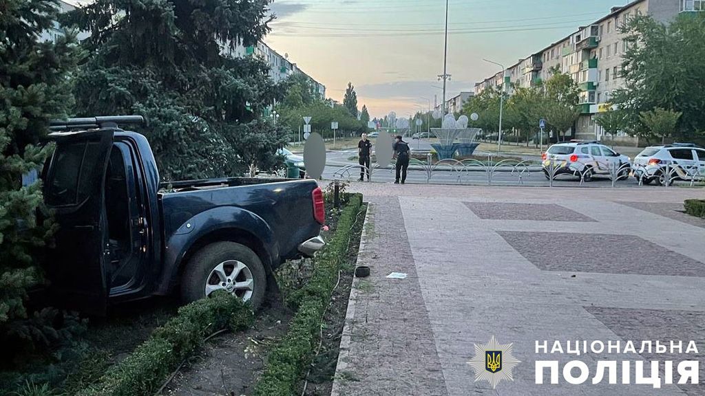 У Горішніх Плавнях автомобіль врізався у дерево