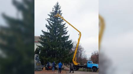 Кобеляки ніяк не устаткуються із новорічною ялинкою