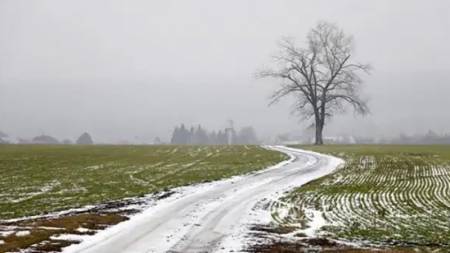 26 грудня очікується вітряна прохолодна погода, без істотних опадів