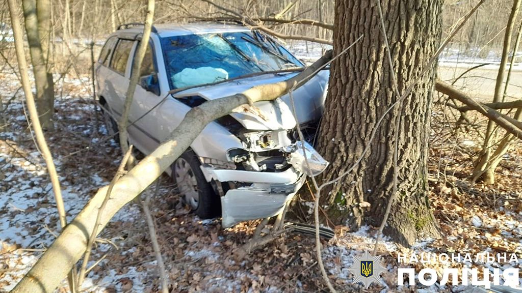 У Полтаві легковик врізався у дерево – двох постраждалих госпіталізували