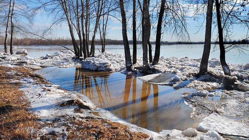 Погода 6 березня на Полтавщині: стане ще тепліше, без опадів