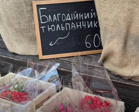 «Бандерівські тюльпани»: у Полтаві продають квіти, щоб допомогти військовим