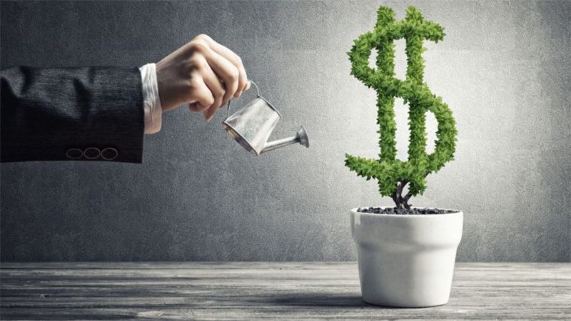 Як знайти інвестора в селі