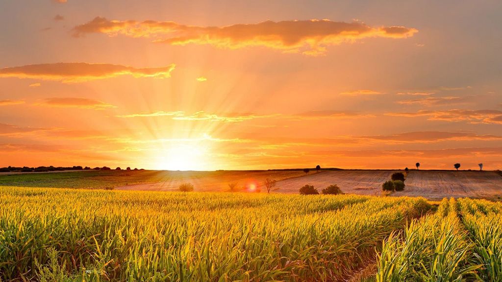 На Полтавщині 23–25 вересня дощів не прогнозується, але холодатиме