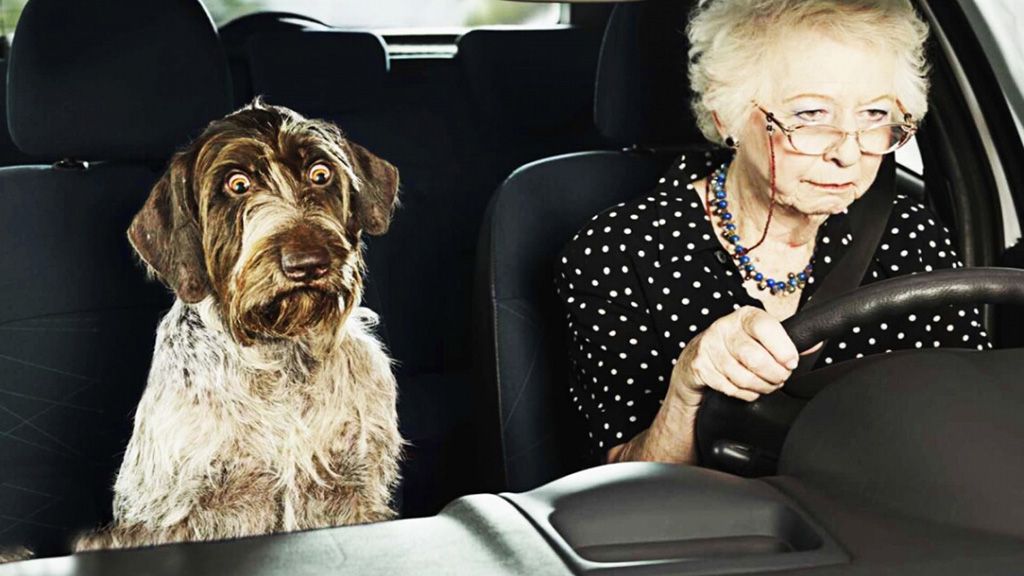 У Раді пропонують ввести обмеження для пенсіонерів за кермом