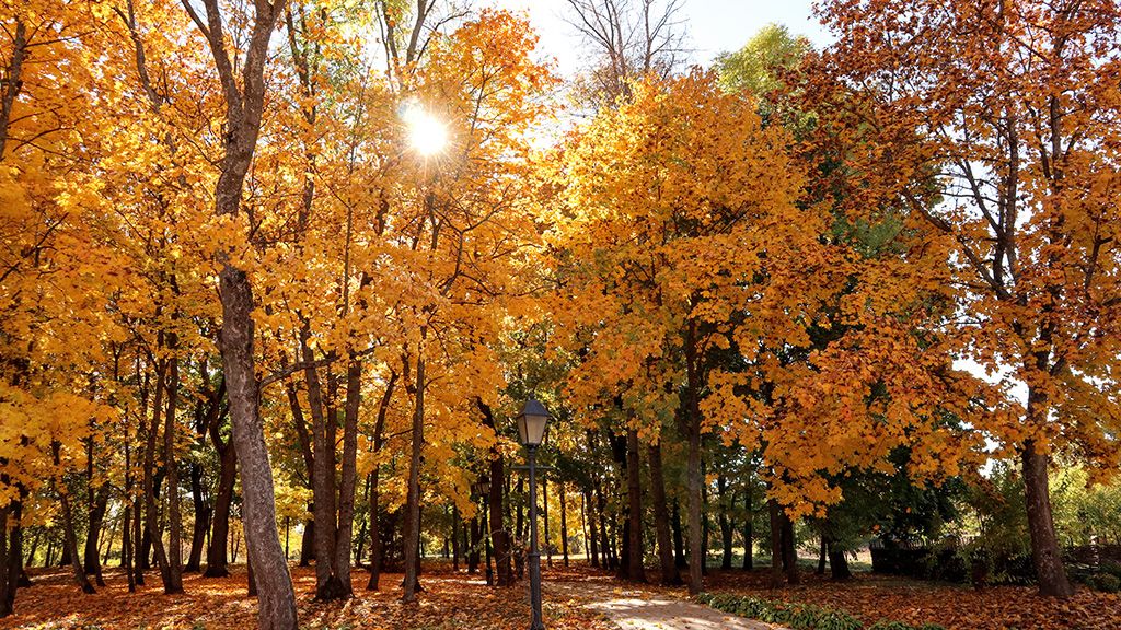 Циклон принесе осіннє похолодання, але з 3 жовтня потепліє