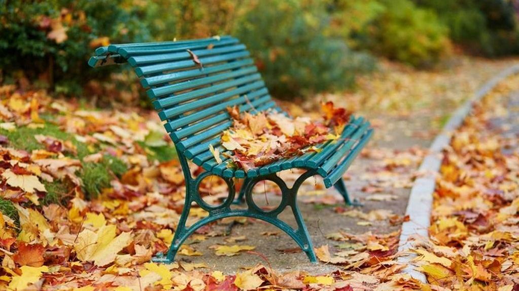 3 жовтня на Полтавщині потепліє, дощі не прогнозуються