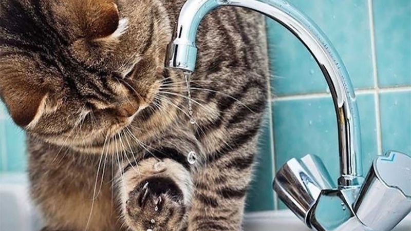 Водопостачання Кобеляк відновлюватимуть протягом дня