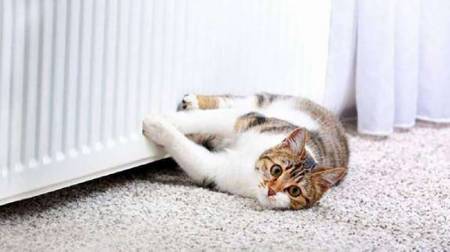 З 29 жовтня в Лубнах стартує опалювальний сезон для всіх споживачів