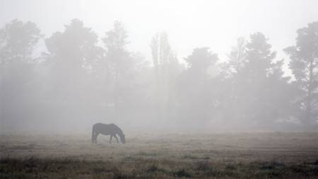 Погода на Полтавщині: прогноз на 30 жовтня та найближчі дні
