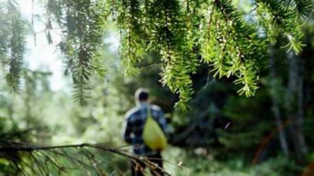 На Полтавщині поліція оперативно розшукала 16-річного хлопця, який зник у лісі