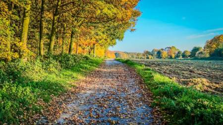 Погода на Полтавщині: прогноз на 1–3 листопада