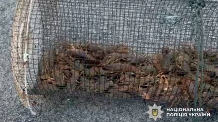 На Полтавщині поліція викрила незаконний вилов біоресурсів у затоці Дніпра