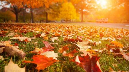 На Полтавщині 6-8 листопада зберігається спокійна осіння погода