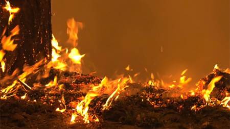 У Кременчуці після пожежі в багатоповерхівці виявили загиблу жінку