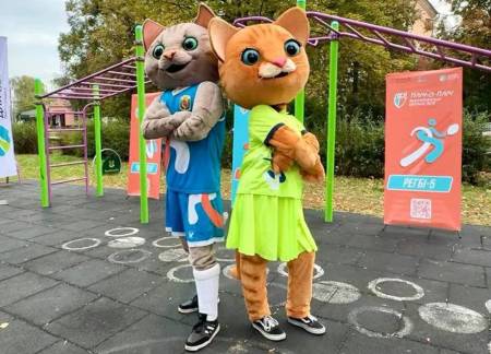 Полтавщина — серед лідерів за кількістю учасників у шкільних спортивних лігах