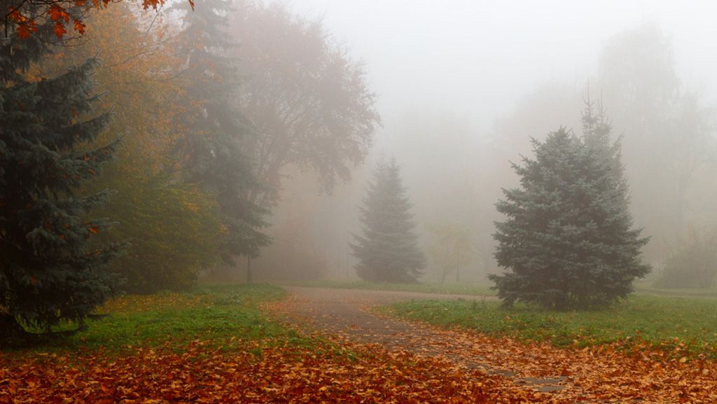 Прогноз погоди по Полтавщині на 13–15 листопада: осіння стабільність із туманами та проясненнями