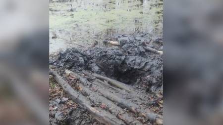 На Лубенщині чоловік ледве не загинув, застрягши у болоті